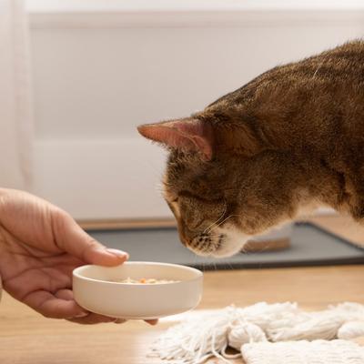 Show full view: Tiny Tiger Lickables Soup Chicken Recipe in a Creamy Fish Broth Cat Treat & Topper, 1.2-oz cup, bundle of 16  slide 8 of 10