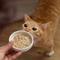 Show in main carousel: Tiny Tiger Lickables Soup Tuna Recipe in a Creamy Chicken Broth Cat Treat & Topper, 1.2-oz cup, case of 8 slide 7 of 10