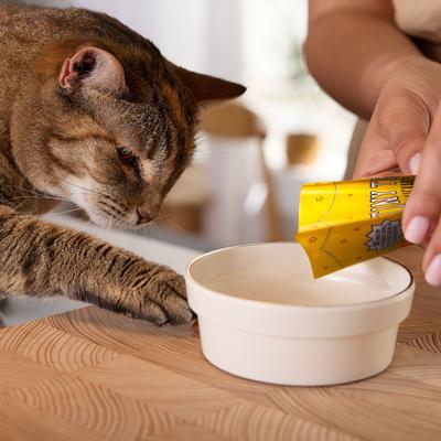 Show full view: Tiny Tiger Lickables Stew Chicken & Veggies Recipe Cat Treat & Topper, 1.4-oz pouch, case of 12 slide 7 of 10