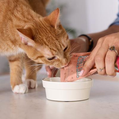 Show full view: Tiny Tiger Lickables Stew Tuna & Shrimp Recipe Cat Treat & Topper, 1.4-oz pouch, case of 12 slide 7 of 10