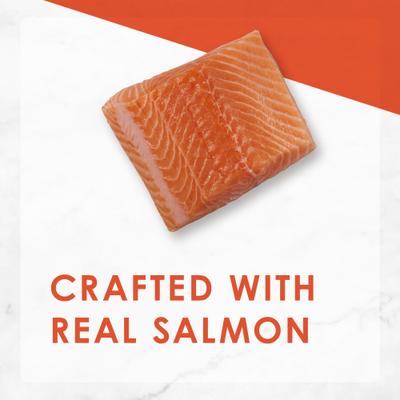 Show full view: Tiny Tiger Pate Salmon Recipe Grain-Free Canned Food + Fancy Feast Classic Savory Salmon Feast Canned Cat Food slide 9 of 9