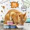 Show in main carousel: Tiny Tiger Grain-Free Pate Seafood Recipes Variety Pack Canned Cat Food, 3-oz can, bundle of 48  slide 5 of 12