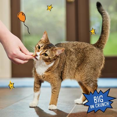 Show full view: Tiny Tiger Tuna Tidbits Flavor Filled Crunchy Cat Treats, 3-oz bag slide 7 of 8