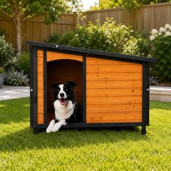 Tinyhomie Weather-Resistant Indoor Wooden Dog House with Removable & Raised Feet, 46-in, Gold/Black