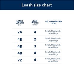 Titan Nylon Handle Chain Dog Leash, Black, 2-ft long, 4-mm wide slide 2 of 2