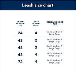 Titan Nylon Handle Chain Dog Leash, Black, 4-ft long, 2-mm wide slide 2 of 2