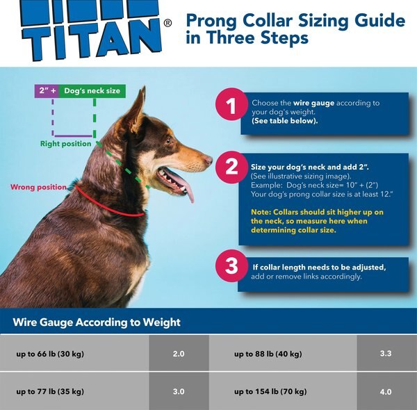 Titan Martingale Prong Training Dog Collar