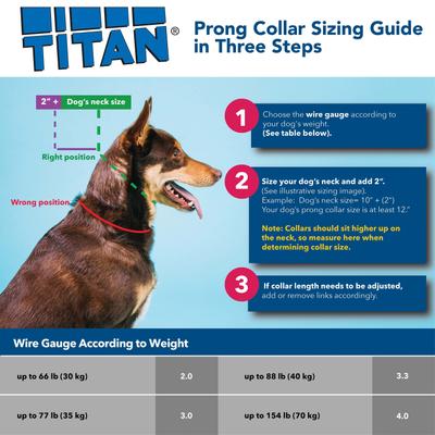 Show full view: Titan Prong Training Dog Collar Extra Links, X-Heavy slide 3 of 4