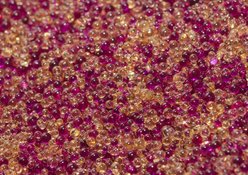 TL Reefs Deionization Resin Aquarium Prefilled Cartridge slide 2 of 2