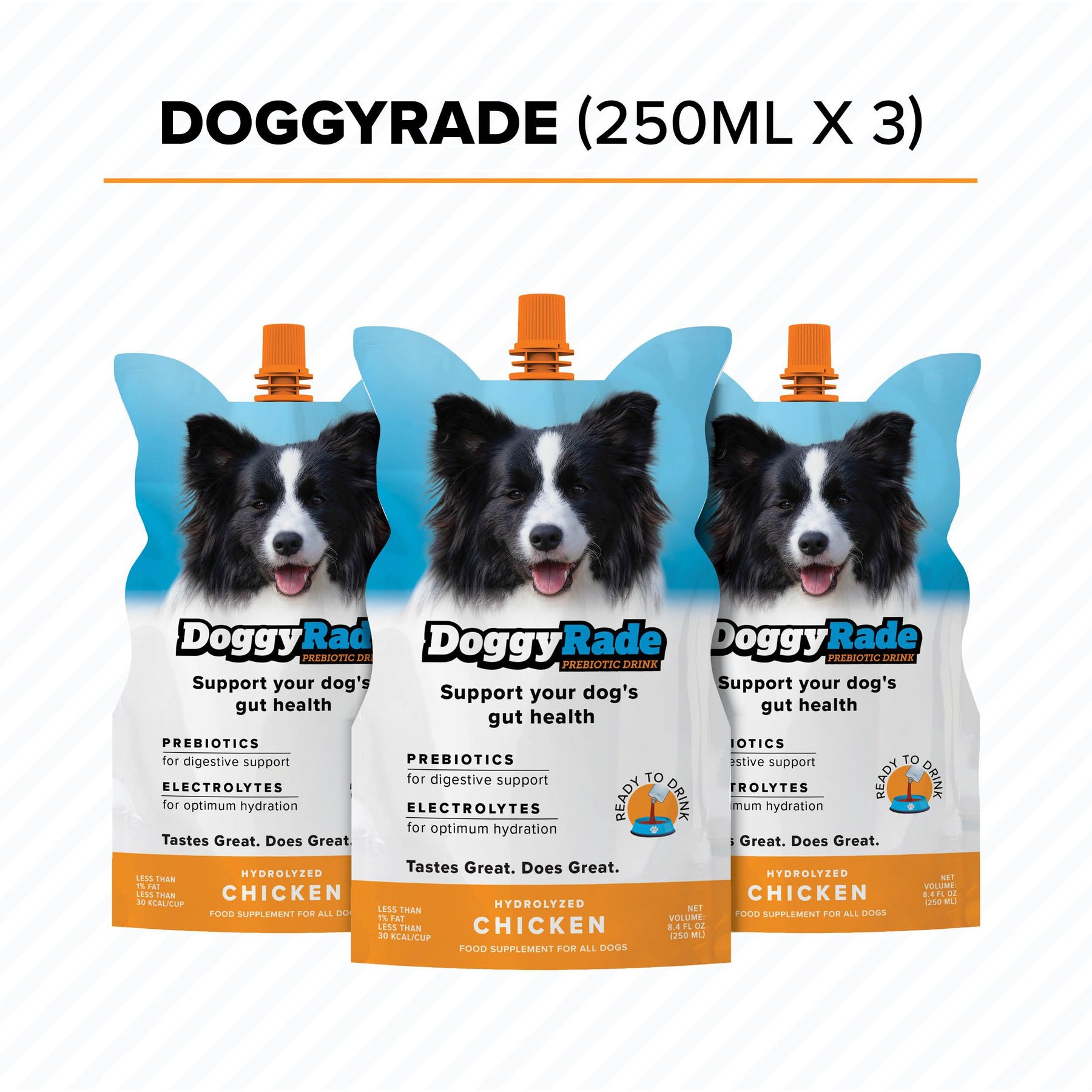 DoggyRade Prebiotic Chicken Flavored Digestive Supplement for Dogs, 250-ml pouch, pack of 3