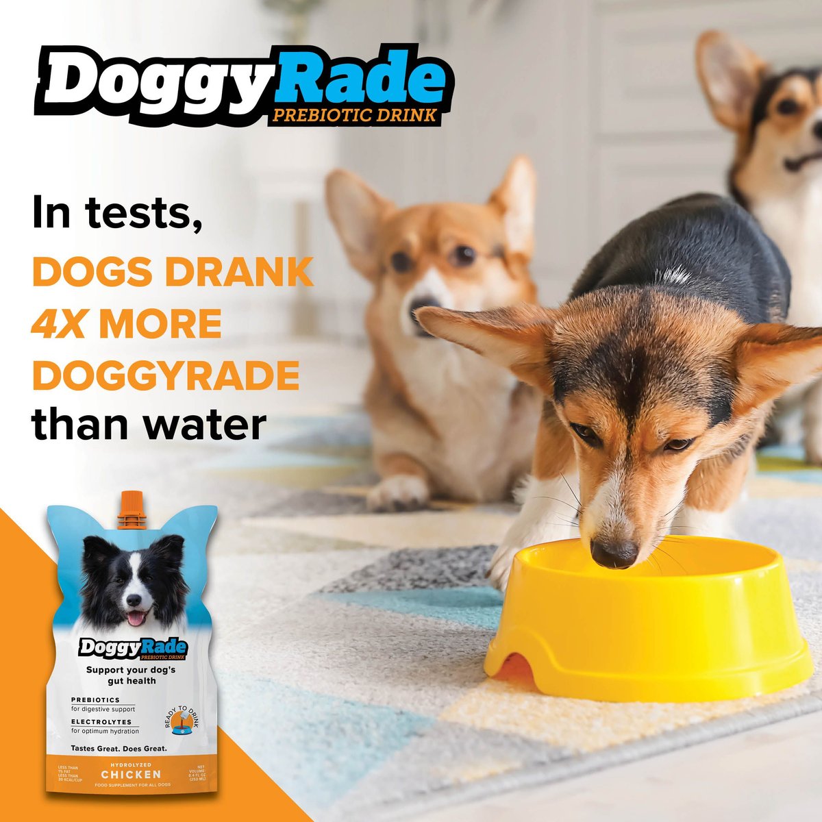 DoggyRade YummyRade Prebiotic Gravy Meal Enhancer Digestive Supplement for Dogs, 250-mL pouch, pack of 3