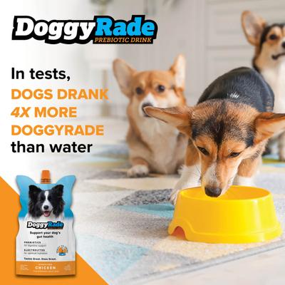 Show full view: DoggyRade Prebiotic Chicken Flavored Digestive Supplement for Dogs, 500-mL pouch, pack of 6 slide 6 of 7