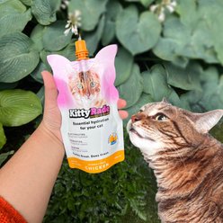 KittyRade Isotonic Drink Chicken Flavored Liquid Digestive Supplement for Cats, 250-ml pouch, pack of 3 slide 2 of 7