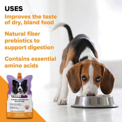 Show full view: DoggyRade YummyRade Prebiotic Gravy Meal Enhancer Digestive Supplement for Dogs, 250-mL pouch, pack of 3 slide 5 of 9