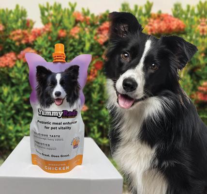 Show full view: DoggyRade YummyRade Prebiotic Gravy Meal Enhancer Digestive Supplement for Dogs, 250-mL pouch, pack of 3 slide 3 of 9