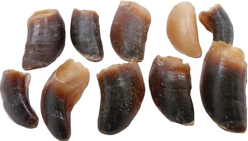 Show full view: Top Dog Chews Beef Hooves Dog Treats, 10 count slide 5 of 10