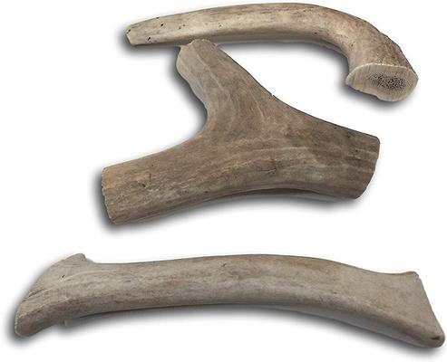 Show full view: Top Dog Chews Deer & Elk Medium Antler Dog Treat, 1 count slide 3 of 8