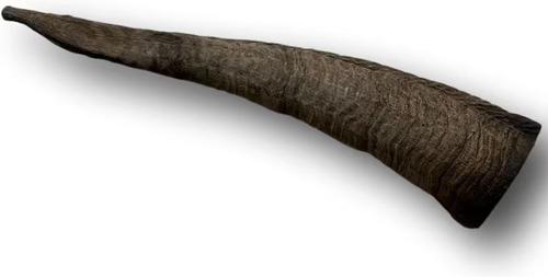 Show full view: Top Dog Chews Goat Horn Dog Treats, Large slide 3 of 6