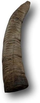 Show full view: Top Dog Chews Goat Horn Dog Treats, Medium slide 3 of 6