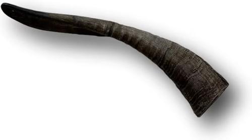 Show full view: Top Dog Chews Goat Horn Dog Treats, Medium slide 5 of 6