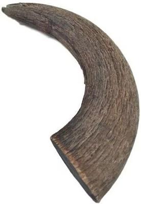 Show full view: Top Dog Chews Natural Water Buffalo Bully Horns Dog Treats, 2 count slide 3 of 11