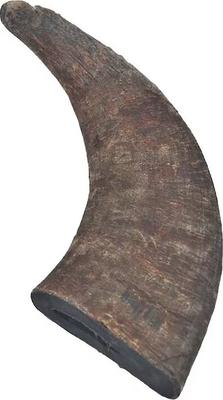 Show full view: Top Dog Chews Natural Water Buffalo Bully Horns Dog Treats, 2 count slide 4 of 11