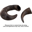 Top Dog Chews Natural Water Buffalo Horns Dog Treats
