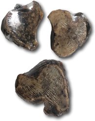 Top Dog Chews Premium All Natural Chews Meaty Beef Knuckle Slices Grain-Free Dog Treats, 3 count slide 2 of 6