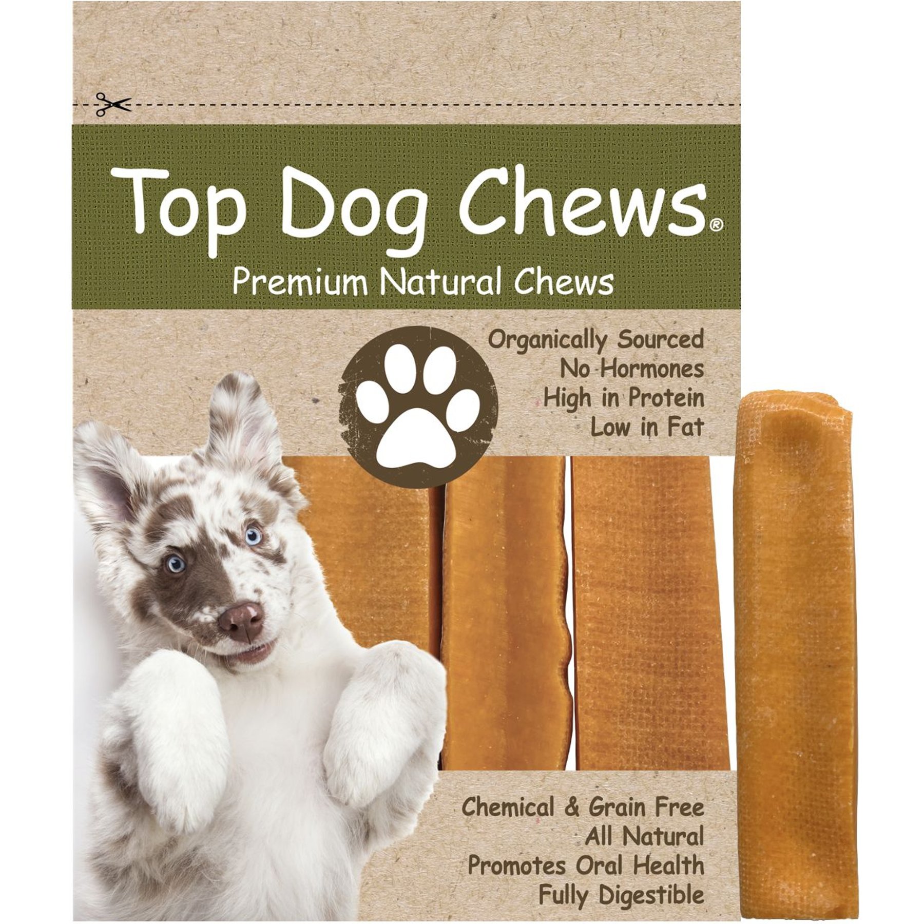 Top Dog Chews Pumpkin Himalayan Yak Cheese Dog Chew Treats, Large, 3 count
