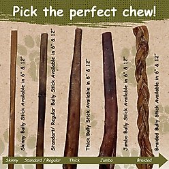 Top Dog Chews Standard 12-in Beef Bully Sticks Dog Treats, 6 count slide 2 of 7