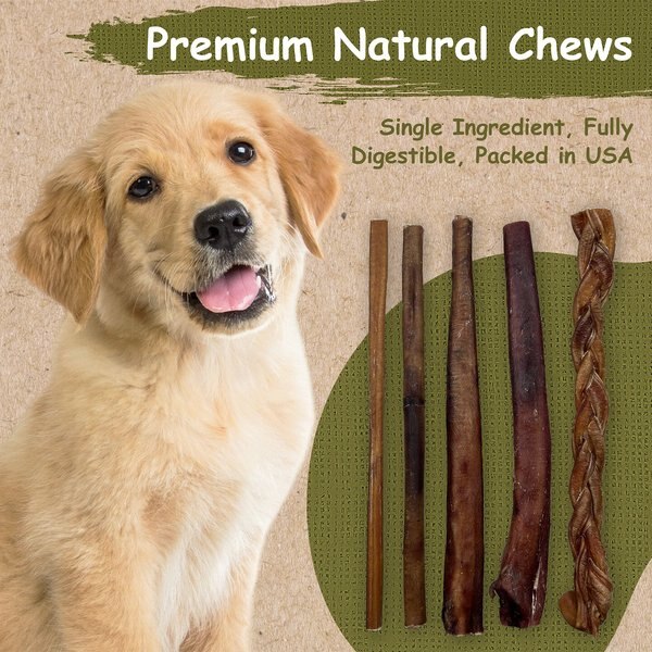 Top Dog Chews Thick 12-in Bully Stick Dog Treats