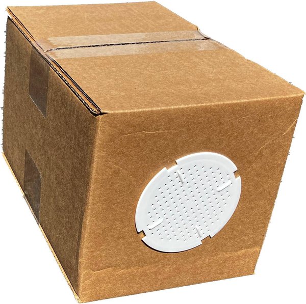 Image showcasing TOP HAT CRICKETS Crickets Reptile Food, Small, 1000 count - Chewy.com