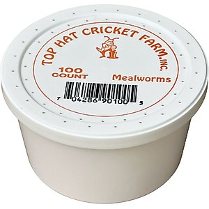 Top Hat Crickets Giant Mealworms Reptile Food, 50 count