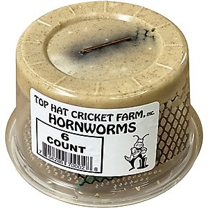Top Hat Crickets Hornworms Reptile Food, 6 count