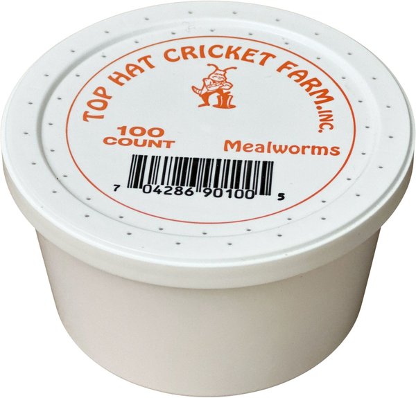 Top Hat Crickets Mealworms Reptile Food, 100 count