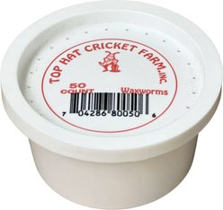 Top Hat Crickets Wax Worms Reptile Food, 50 count