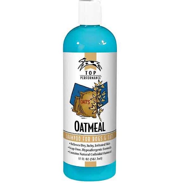 EARTHBATH Oatmeal & Aloe Dog & Cat Shampoo, 16-fl oz bottle - Chewy.com