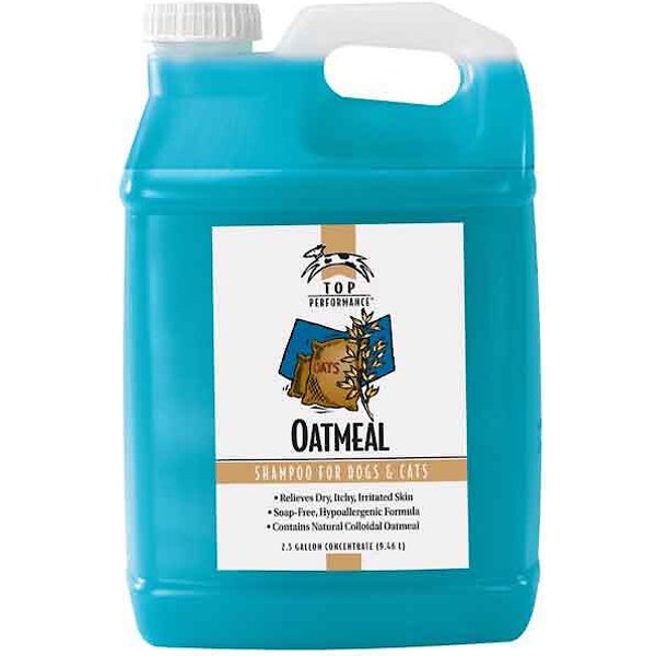 EARTHBATH Oatmeal & Aloe Fragrance Free Dog & Cat Shampoo, 128-fl oz ...