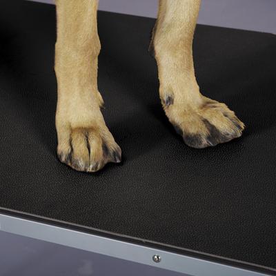 Show full view: Top Performance Table Dog Mat, Black, Small slide 2 of 3