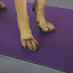 Top Performance Table Dog Mat, Purple, Large slide 2 of 2