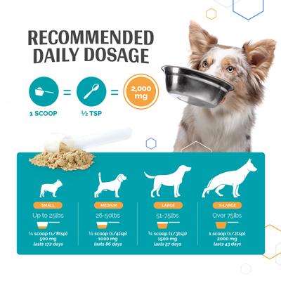 Show full view: TopDog Health Flexerna Essentials Powder Joint Supplement for Dogs, 3-oz jar slide 9 of 10