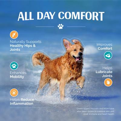 Show full view: TopDog Health Flexerna Essentials Powder Joint Supplement for Dogs, 3-oz jar slide 10 of 10