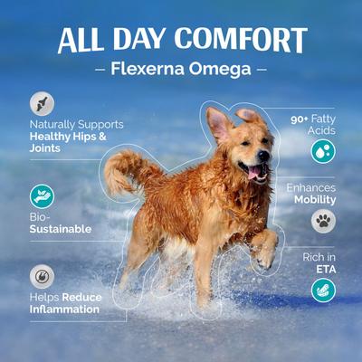 Show full view: TopDog Health Flexerna Omega Liquid Dog Supplement, 8-fl oz bottle slide 8 of 12