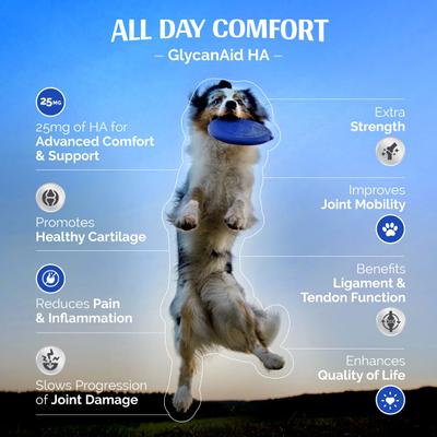 Show full view: TopDog Health GlycanAid HA Factor Hip & Joint Chewables Dog Supplement, 150 count slide 8 of 12