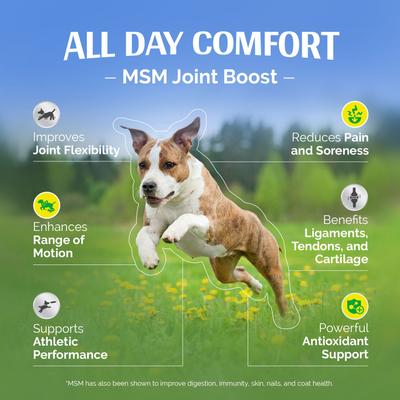 Show full view: TopDog Health MSM Joint Boost Natural Chicken Flavor Powder Dog Supplement, 1-lb jar slide 7 of 8
