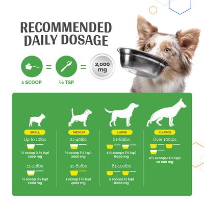 Show full view: TopDog Health MSM Joint Boost Unflavored Powder Dog Supplement, 1-lb jar slide 7 of 9