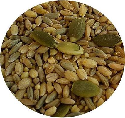 Show full view: TOP's Parrot Food Organic All in One Seed Mix Bird Food, 5-lb bag slide 4 of 5