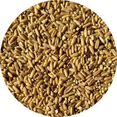 Show full view: TOP's Parrot Food Organic Napoleon Seed Mix Small Parrot Food, 1-lb bag slide 2 of 2