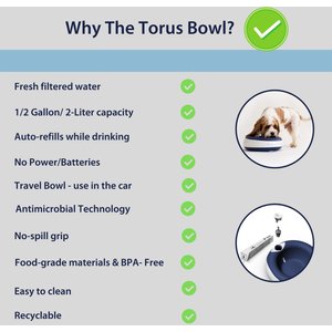 Torus Pet Filtered Dog & Cat Water Bowl, Blue, 68-oz