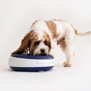 Torus Pet Filtered Dog & Cat Water Bowl, Blue, 68-oz